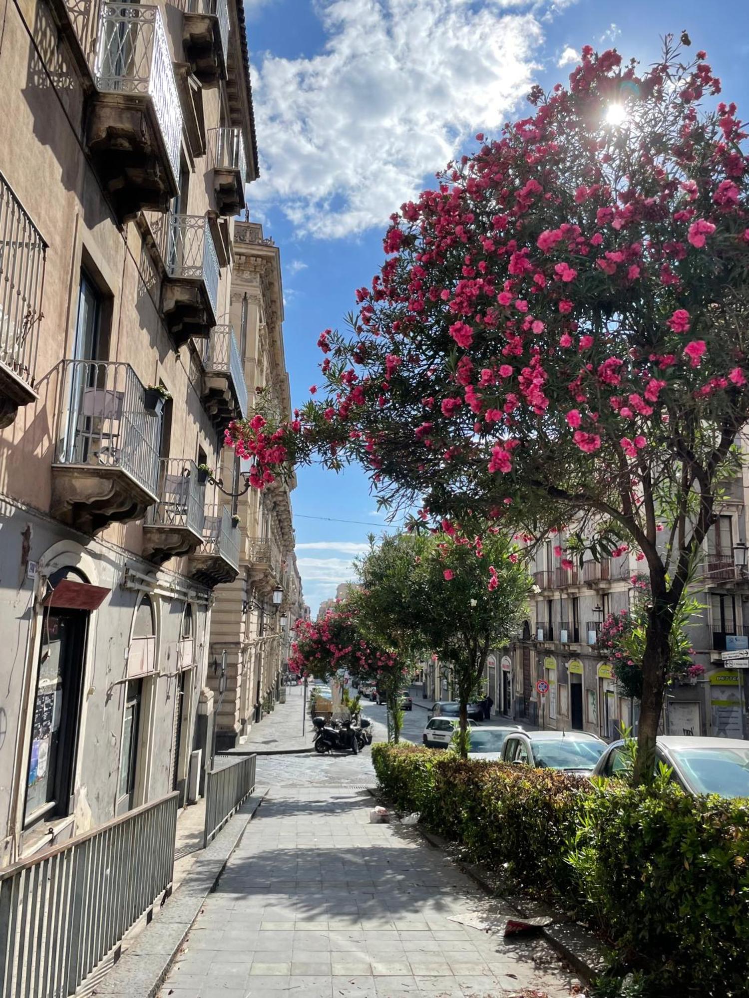 Opera Boutique Bed & Breakfast Catania Ngoại thất bức ảnh