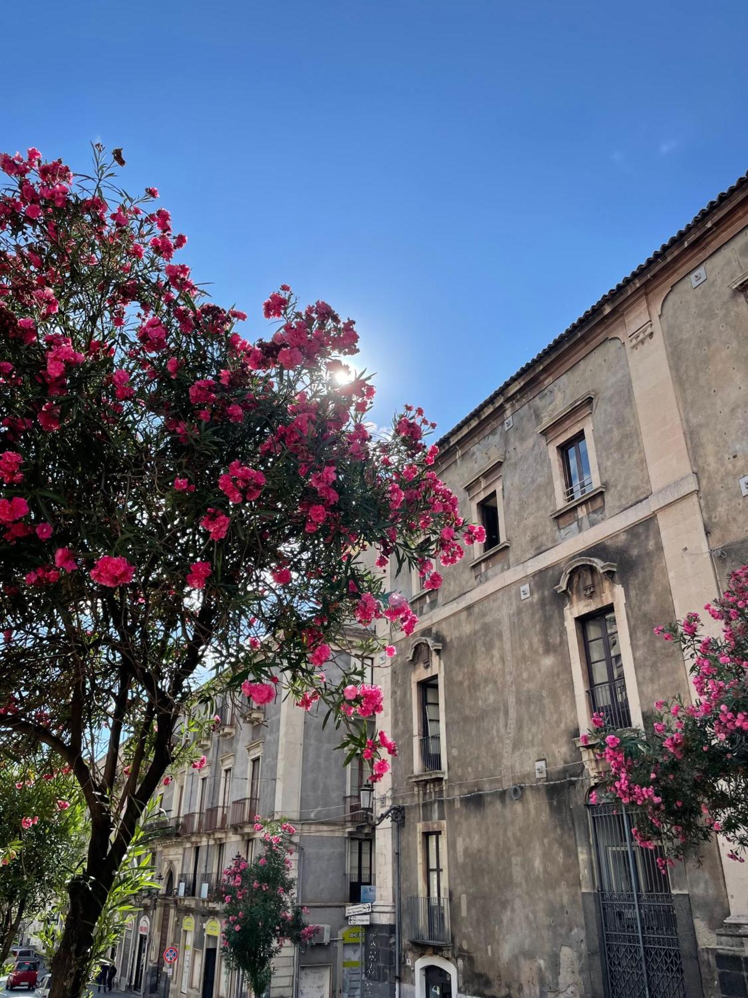 Opera Boutique Bed & Breakfast Catania Ngoại thất bức ảnh